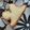 こんこんこんのん's cooksnap of when they made ホワイトチョコで作る♪ガトーショコラ.