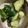 クックOBSDVC☆'s cooksnap of when they made 切って和える✨火も使わず出来る副菜.
