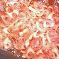 ベストともこ's cooksnap of when they made 味醂が決め手！レンコンのきんぴら.