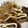 ぽむぽむ★'s cooksnap of when they made 簡単☆ちくわのピカタ.