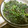 tamamiya55's cooksnap of when they made ほうれん草のごま和え.