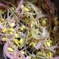 ぺあやの's cooksnap of when they made もやしのナムル.