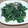 はる。ふみ。's cooksnap of when they made ほうれん草のごま和え.
