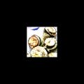 qribo's cooksnap of when they made さんまの梅しそロール天.