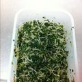 そねりえ's cooksnap of when they made おにぎりの具にしらすと人参葉わさび醤油.
