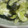 いすかんだる's cooksnap of when they made 【超簡単】キャベツとワカメの中華和え.