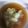 まゅ＠たん's cooksnap of when they made 焼きなす☆ポン酢おひたし.