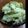 メイコ☆'s cooksnap of when they made パリッパリ☆大根の浅漬け♪.