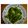 antkishi's cooksnap of when they made ゆでレタスのサラダ.