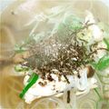 ハルハルマン's cooksnap of when they made 簡単鶏にゅうめん★.