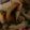 meatdumpli's cooksnap of when they made きのこたっぷりなめたけ♪.