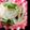 OBMSN's cooksnap of when they made 超簡単なのに激ウマ！大根サラダ☆.