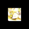 3March's cooksnap of when they made 白菜と椎茸の醤油あんかけ.