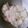 北の島のもも's cooksnap of when they made ツナの炊き込みご飯.