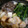 hammy96's cooksnap of when they made お家で簡単！すき焼き風鍋焼きうどん.