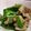 musya's cooksnap of when they made ニラと豚肉のあっさり煮.