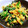 akubi＊MAMA's cooksnap of when they made すり鉢で作るほうれん草と菊の胡麻和え.