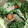 GSY's cooksnap of when they made ほうれん草とハムのサラダ.
