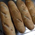 3645's cooksnap of when they made バター要らずのフランスパン（クルミ入り）.