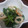 かいたまま's cooksnap of when they made 《簡単♪小鉢》ほうれん草とちくわの和え物.