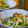 織姫１１０２'s cooksnap of when they made 簡単❁ほうれん草の白和え風(^_^;).