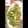 yumi1123's cooksnap of when they made サーモンとアボガドのチーズ生春巻き.