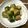 ☆ぴよぴよママ☆'s cooksnap of when they made 青梗菜の肉団子包み.