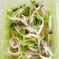 せいじミキ's cooksnap of when they made 簡単☆もやしと豆苗の和え物.