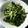 すくぴん's cooksnap of when they made ☆小松菜（雪菜）と油揚げの煮びたし☆.