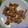 catsmama's cooksnap of when they made エビの煎り焼き　にんにく風味.