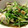 トクライ's cooksnap of when they made 牡蠣と水菜のニンニク炒め.