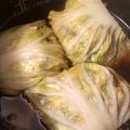 めいぷるぅ's cooksnap of when they made ＊ロール白菜のコトコト中華煮＊.