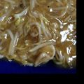 ・pepepe・'s cooksnap of when they made もやしあんかけ焼きそば.