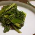 SP♪'s cooksnap of when they made 旬の味わい☆春菊のごま和え.
