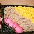 もりはん's cooksnap of when they made キレイで自画自賛♡春のそぼろ弁当♡.