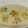 あいこ子's cooksnap of when they made 牡蠣と白菜のクリーム煮.