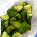 ふぃーび's cooksnap of when they made きゅうりの漬け物.