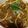 しゅんパンまん's cooksnap of when they made 和風の残りものカレーうどん.