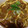 しゅんパンまん's cooksnap of when they made 和風の残りものカレーうどん.