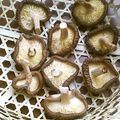 olive11's cooksnap of when they made 自家製　干ししいたけ.