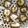 olive11's cooksnap of when they made 自家製　干ししいたけ.