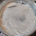 ぴーちゃんパン's cooksnap of when they made 時間が経ってもくっつかない素麺の茹で方.