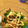 Abbieyu's cooksnap of when they made 節約☆簡単☆もやし炒め.