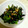 栄養士まま's cooksnap of when they made 鉄分たっぷり!!小松菜とひじきのごまあえ.