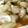 numpy's cooksnap of when they made ♪たこワサビ♪.