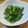 daikanon's cooksnap of when they made 簡単小松菜のお浸し♪.
