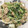 まりっコぐらし's cooksnap of when they made 水菜と豚の炒め物.