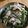 かわゆう1211's cooksnap of when they made 豚バラとニンニクの芽の炒め物.