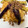 ★☆★アリエル★☆★'s cooksnap of when they made ナスと挽き肉のパスタ(ピエトロ風).