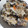 ornitier's cooksnap of when they made ひじきとごぼうで炊き込みご飯♪.
